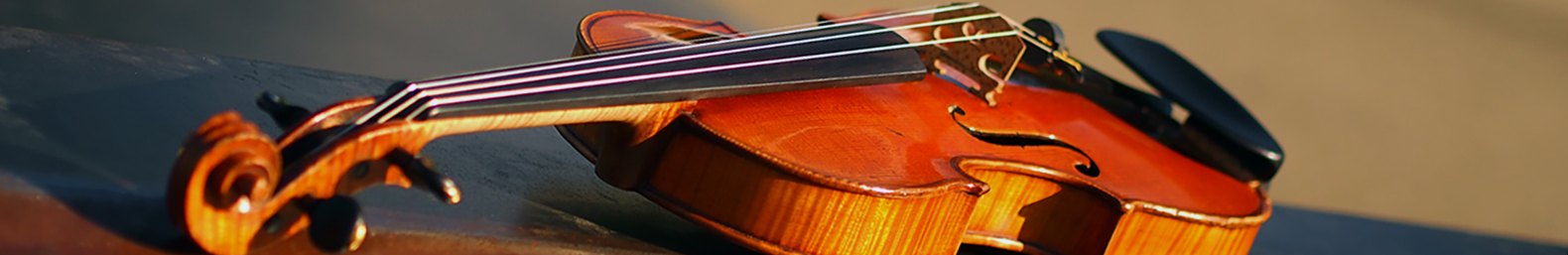 Violin lessons - Musikunterricht Basel